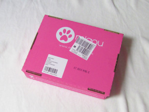 ma-premiere-miaoubox