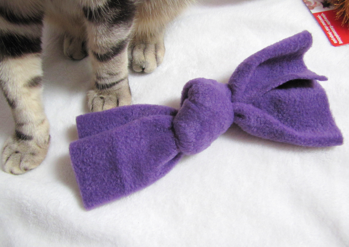 noeud-valeriane-chat