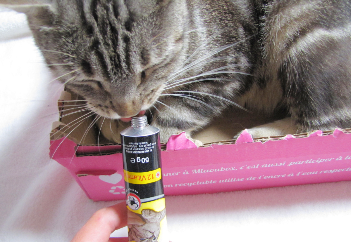 vitamines-pour-chats