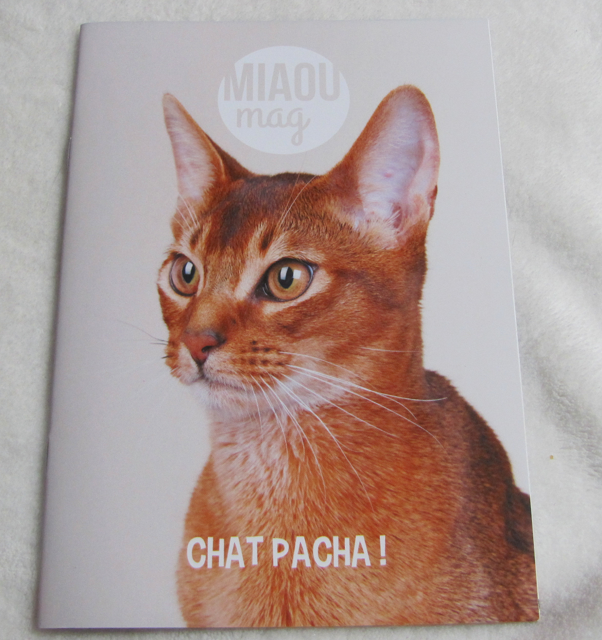 miaou-mag