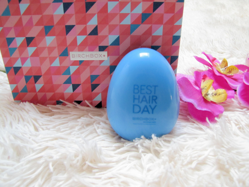 birchbox-brosse