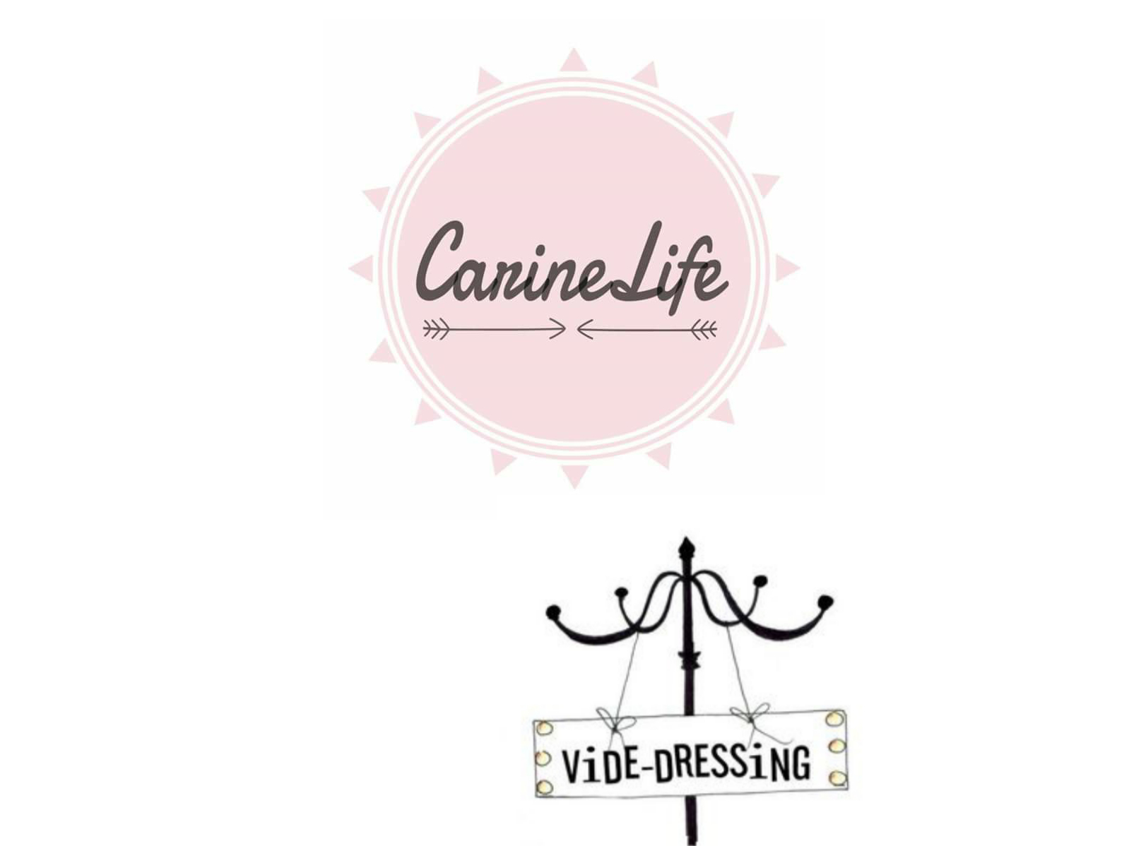 carinelife-vide-dressing-logo