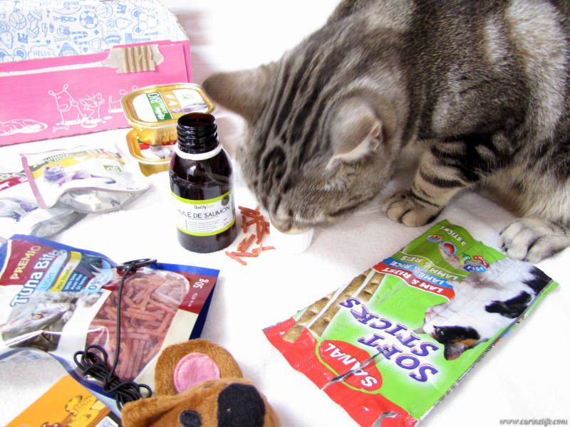 Miaou-box-mars-2016-contenu