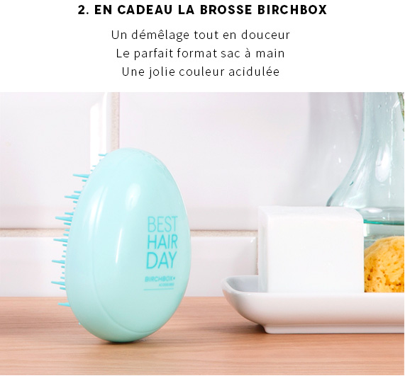 brosse-birchbox