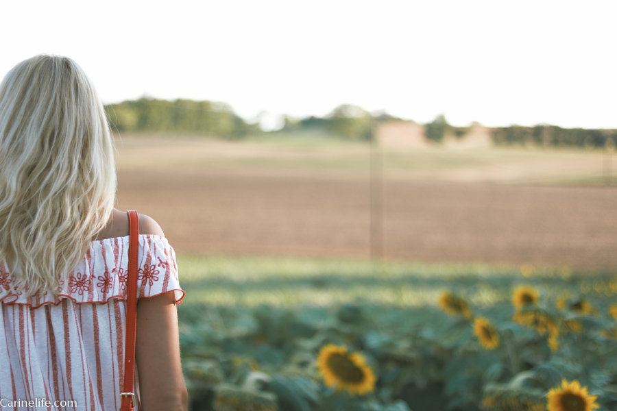 look été tournesols